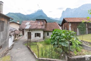 Porzione di Testa con giardino
